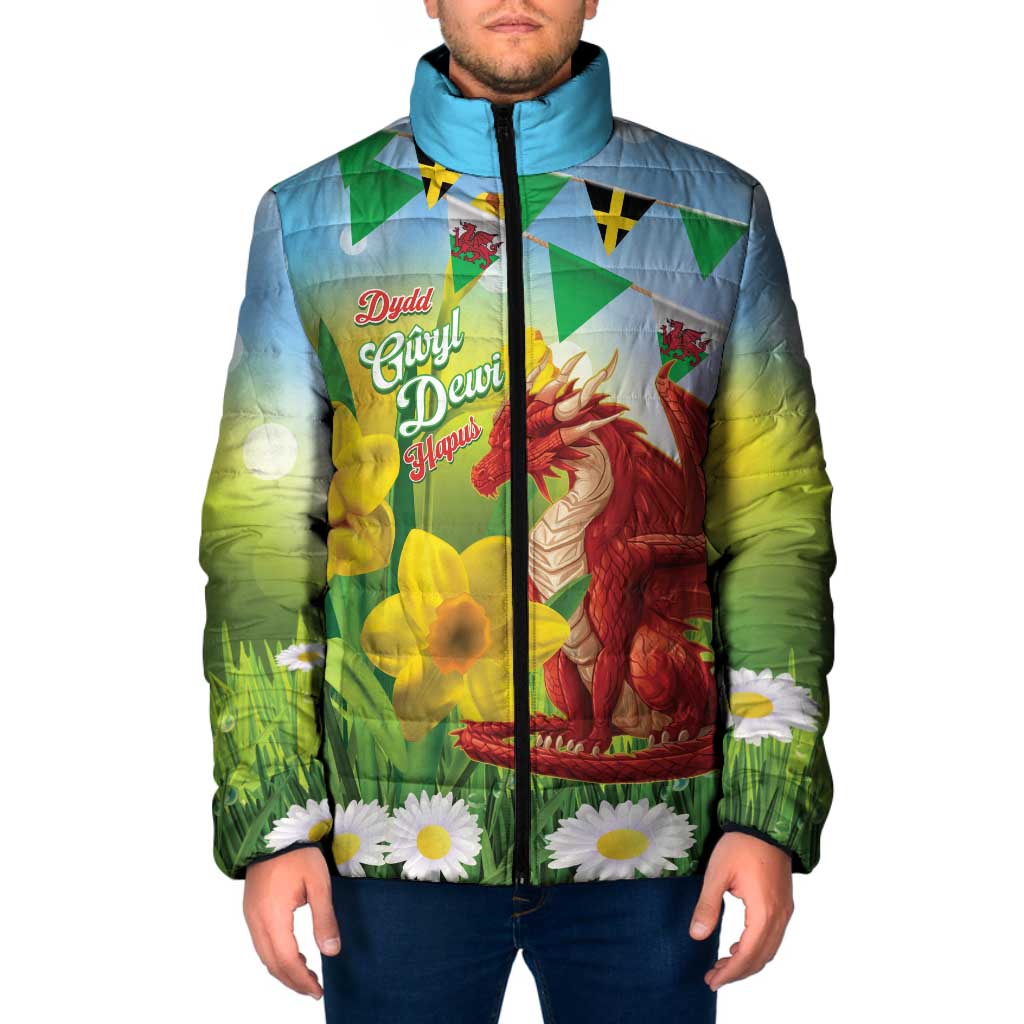 Wales Saint David's Day Padded Jacket Dydd Gwyl Dewi Hapus Dragon Daffodil - Wonder Print Shop