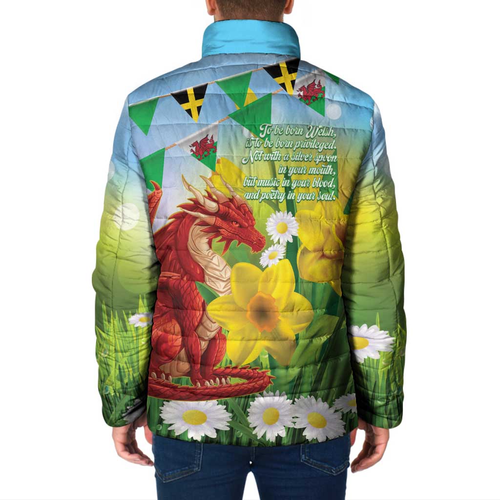 Wales Saint David's Day Padded Jacket Dydd Gwyl Dewi Hapus Dragon Daffodil - Wonder Print Shop