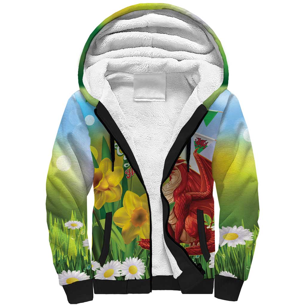Wales Saint David's Day Sherpa Hoodie Dydd Gwyl Dewi Hapus Dragon Daffodil - Wonder Print Shop