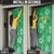 Jamaica Cricket Door Cover Fi Wi Tallawahs Tropical Style - Wonder Print Shop