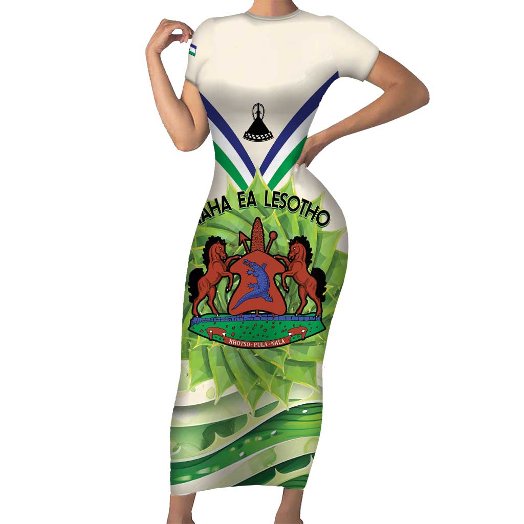Personalised Lesotho Independence Day Family Matching Short Sleeve Bodycon Dress and Hawaiian Shirt Aloe Polyphylla Mix Coat Of Arms - Wonder Print Shop