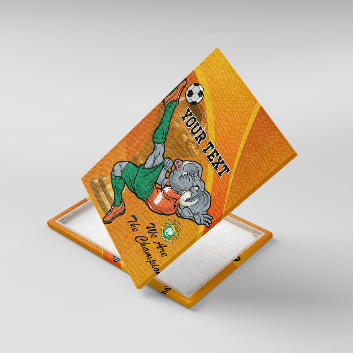 Custom Ivory Coast Football Canvas Wall Art 2024 Mascot With Champions Trophy - Wonder Print Shop
