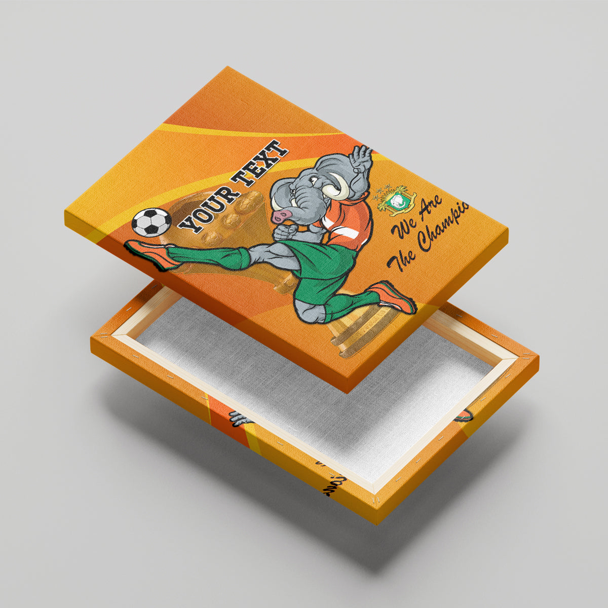 Custom Ivory Coast Football Canvas Wall Art 2024 Mascot With Champions Trophy - Wonder Print Shop