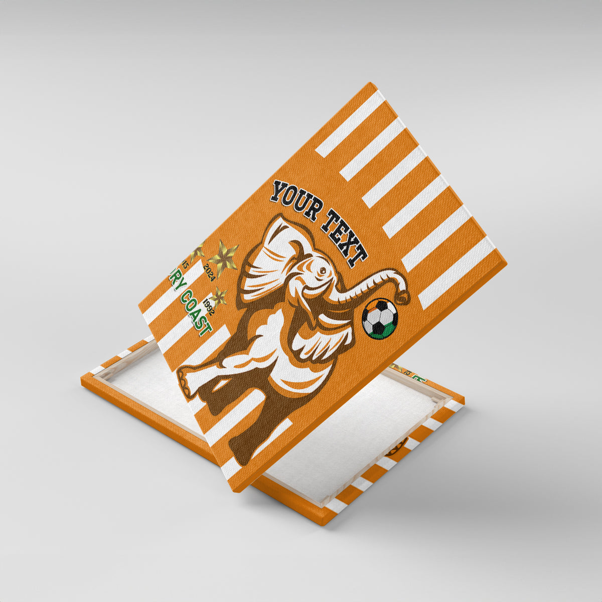 Custom Ivory Coast Football Canvas Wall Art Les Elephants 3rd Champions Proud - Wonder Print Shop