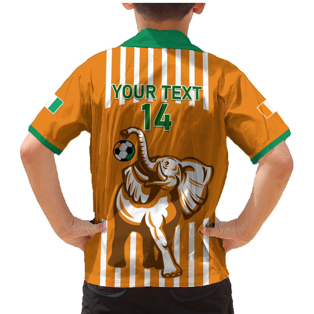 Custom Ivory Coast Football Family Matching Mermaid Dress and Hawaiian Shirt Les Elephants 3rd Champions Proud - Wonder Print Shop
