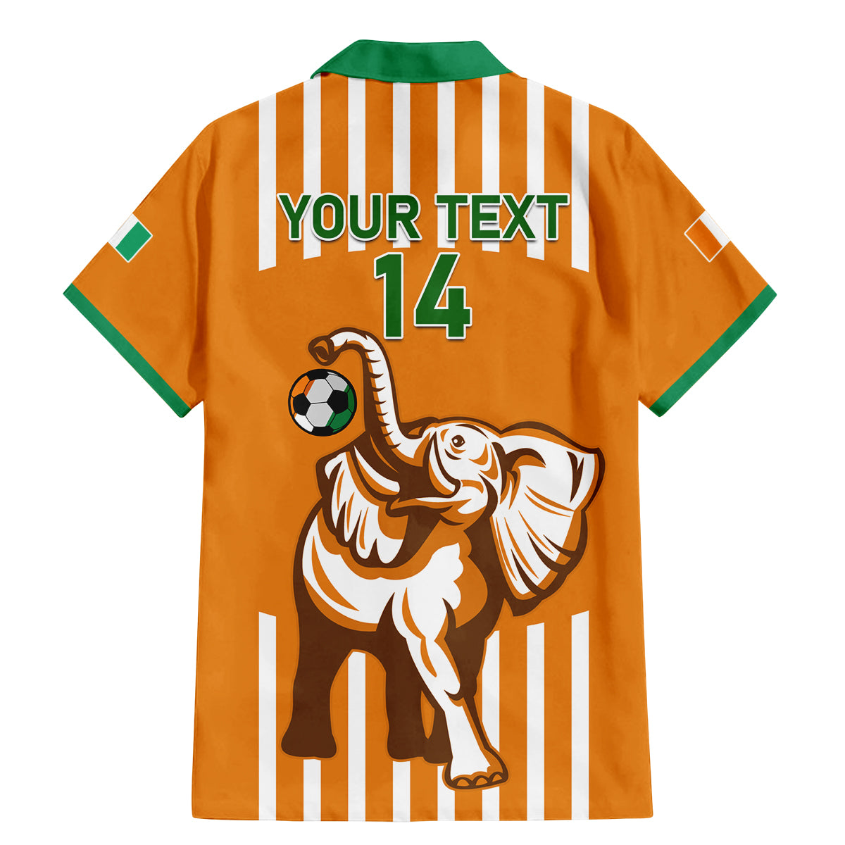 Custom Ivory Coast Football Family Matching Mermaid Dress and Hawaiian Shirt Les Elephants 3rd Champions Proud - Wonder Print Shop
