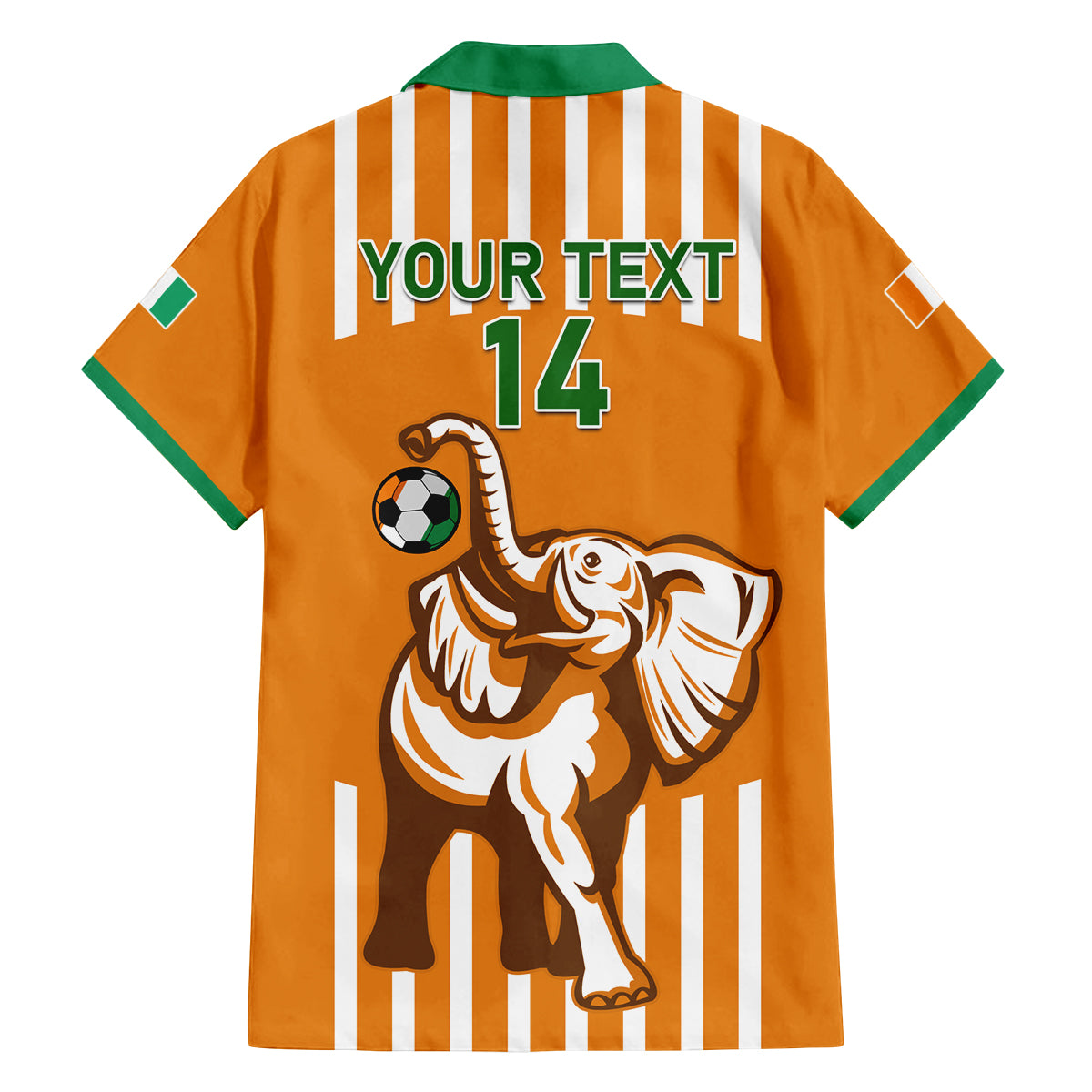 Custom Ivory Coast Football Family Matching Tank Maxi Dress and Hawaiian Shirt Les Elephants 3rd Champions Proud - Wonder Print Shop