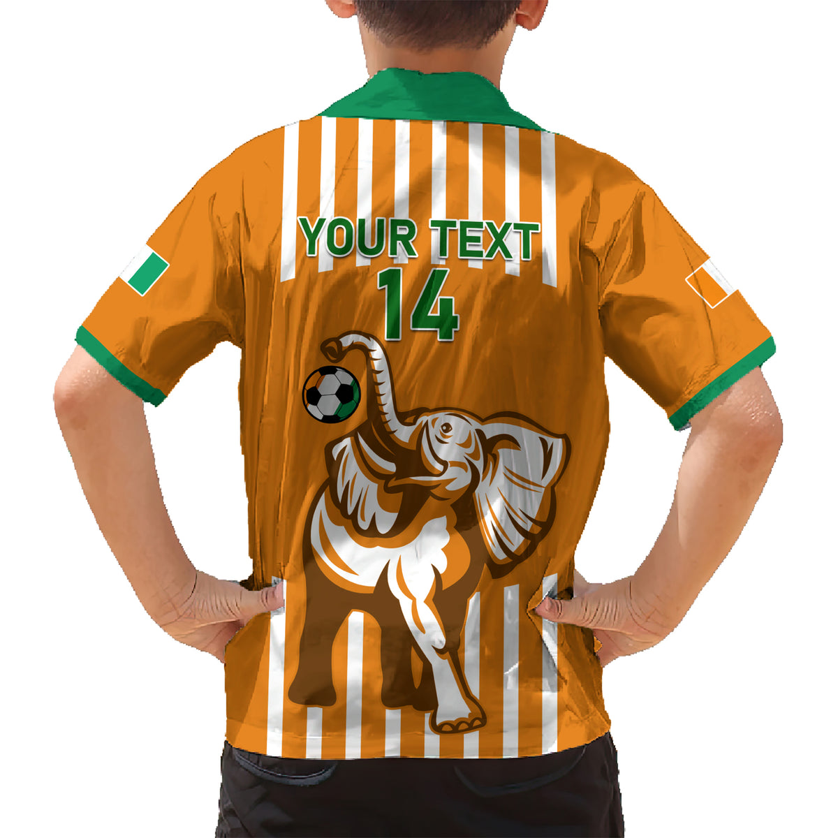 Custom Ivory Coast Football Hawaiian Shirt Les Elephants 3rd Champions Proud - Wonder Print Shop