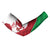 Wales Rugby Custom Arm Sleeves Go Cymru Yma O Hyd - Wonder Print Shop