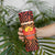 Custom South Africa Eastern Cape Cricket Skinny Tumbler Go Sunrisers - Wonder Print Shop