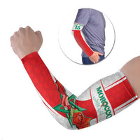 Custom Morocco Football Arm Sleeves Go Champions Atlas Lions - White - Wonder Print Shop