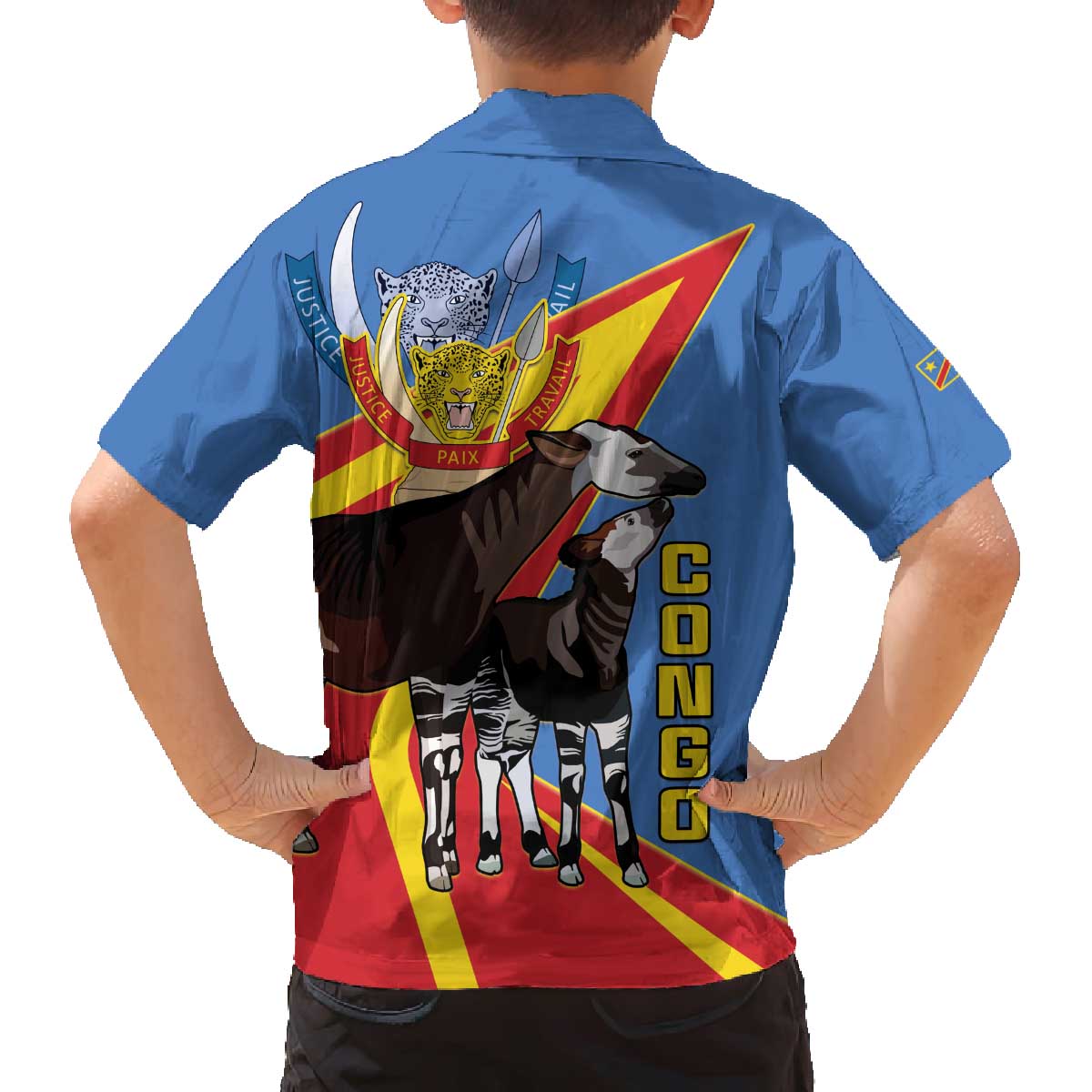 DR Congo Okapi Family Matching Off The Shoulder Long Sleeve Dress and Hawaiian Shirt With Coat Of Arms