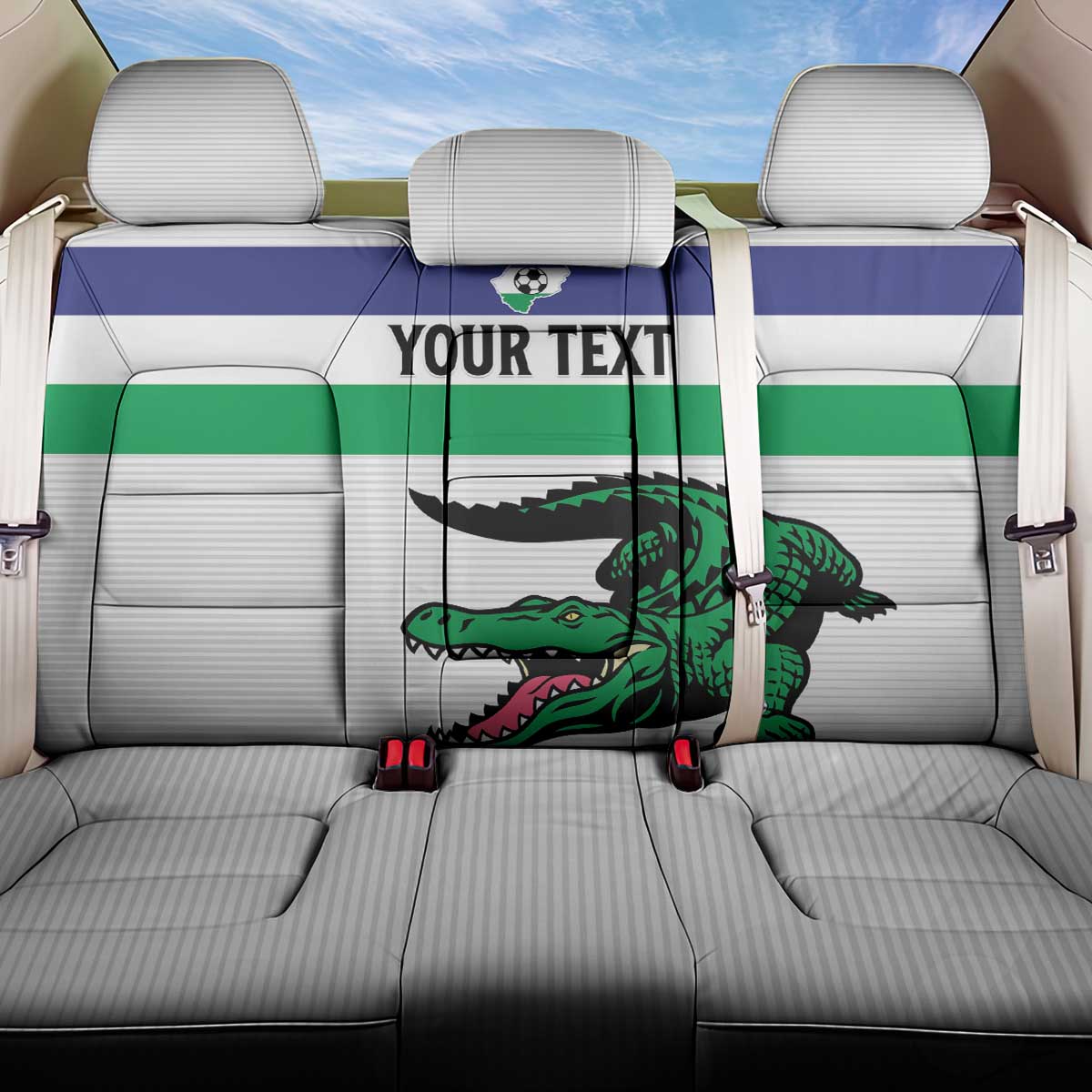 Custom Lesotho Football Back Car Seat Cover Likuena For Victory
