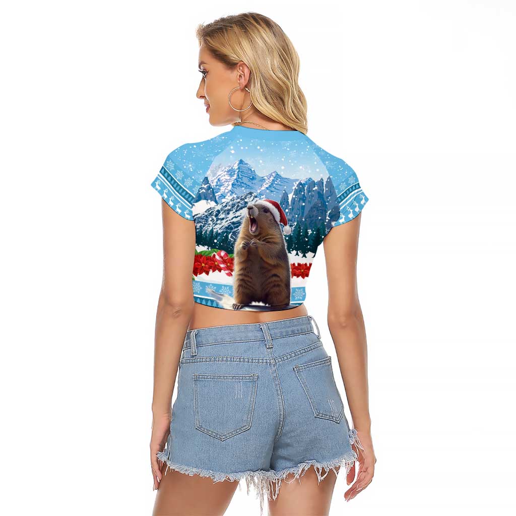 Switzerland Christmas Marmot Raglan Cropped T Shirt Joyeux Noel - Wonder Print Shop