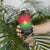 Burkina Faso Military Skinny Tumbler Bravo Caption Traore! Viva Burkina Faso Nation!