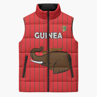Custom Guinea Football Sleeveless Puffer Jacket Allez Syli National - Wonder Print Shop