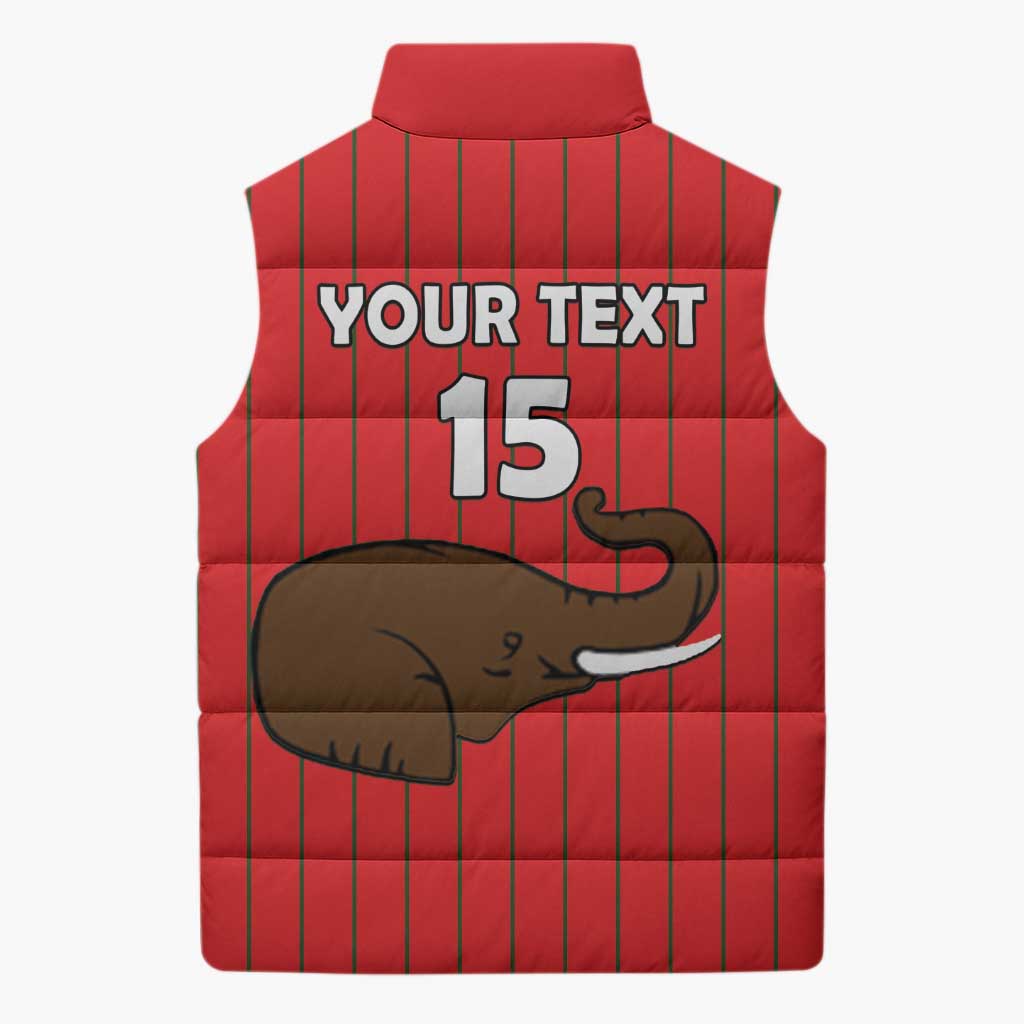 Custom Guinea Football Sleeveless Puffer Jacket Allez Syli National - Wonder Print Shop