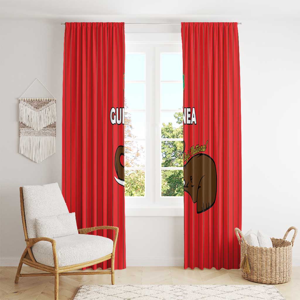 Guinea Football Window Curtain Allez Syli National - Wonder Print Shop