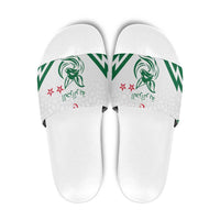 Algeria Football Slide Sandals Go Fennecs Go - Wonder Print Shop