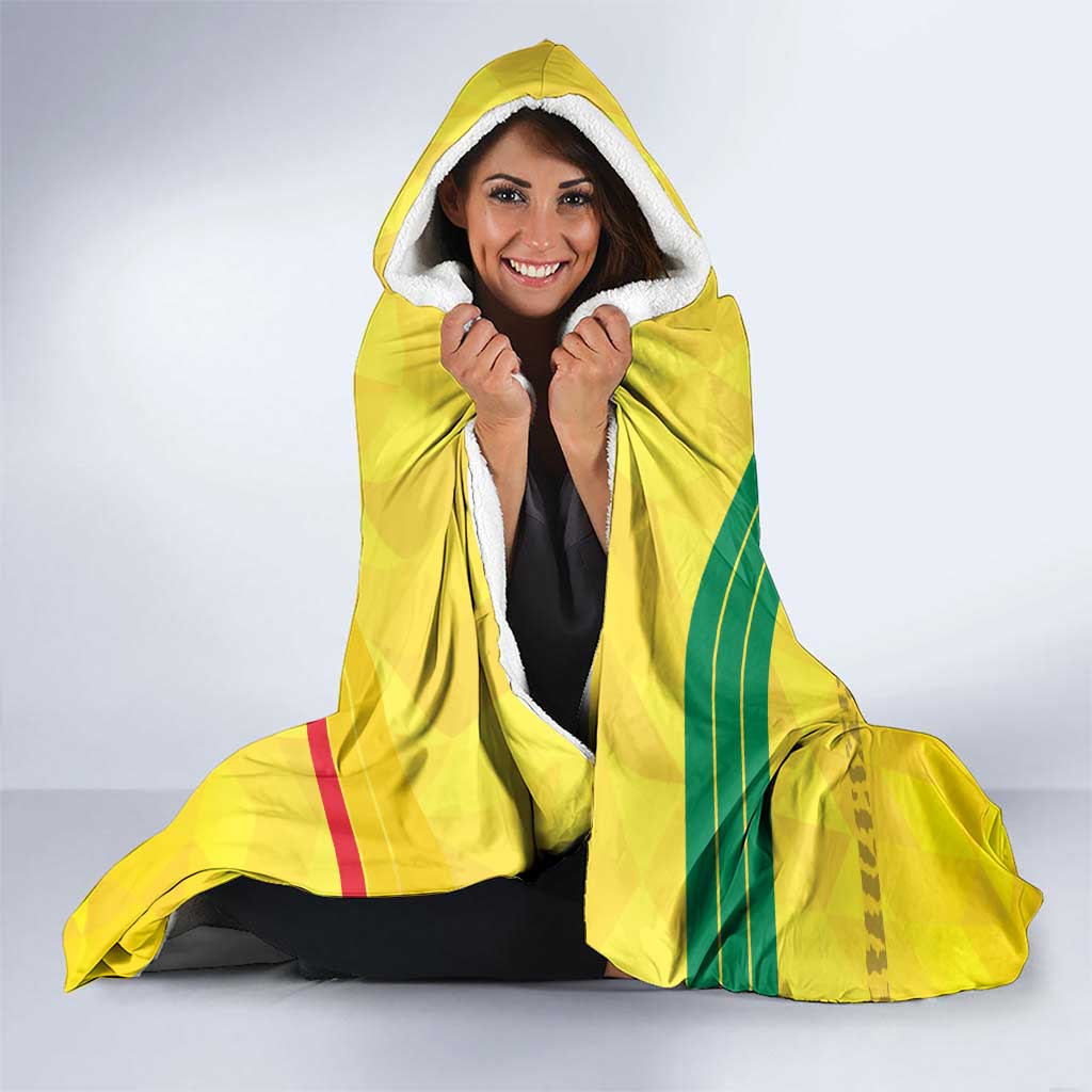 Custom Benin Football Hooded Blanket Go Cheetahs