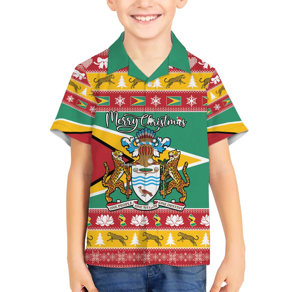 Guyana Christmas Family Matching Off The Shoulder Long Sleeve Dress and Hawaiian Shirt Coat Of Arms with Flag Style - Wonder Print Shop