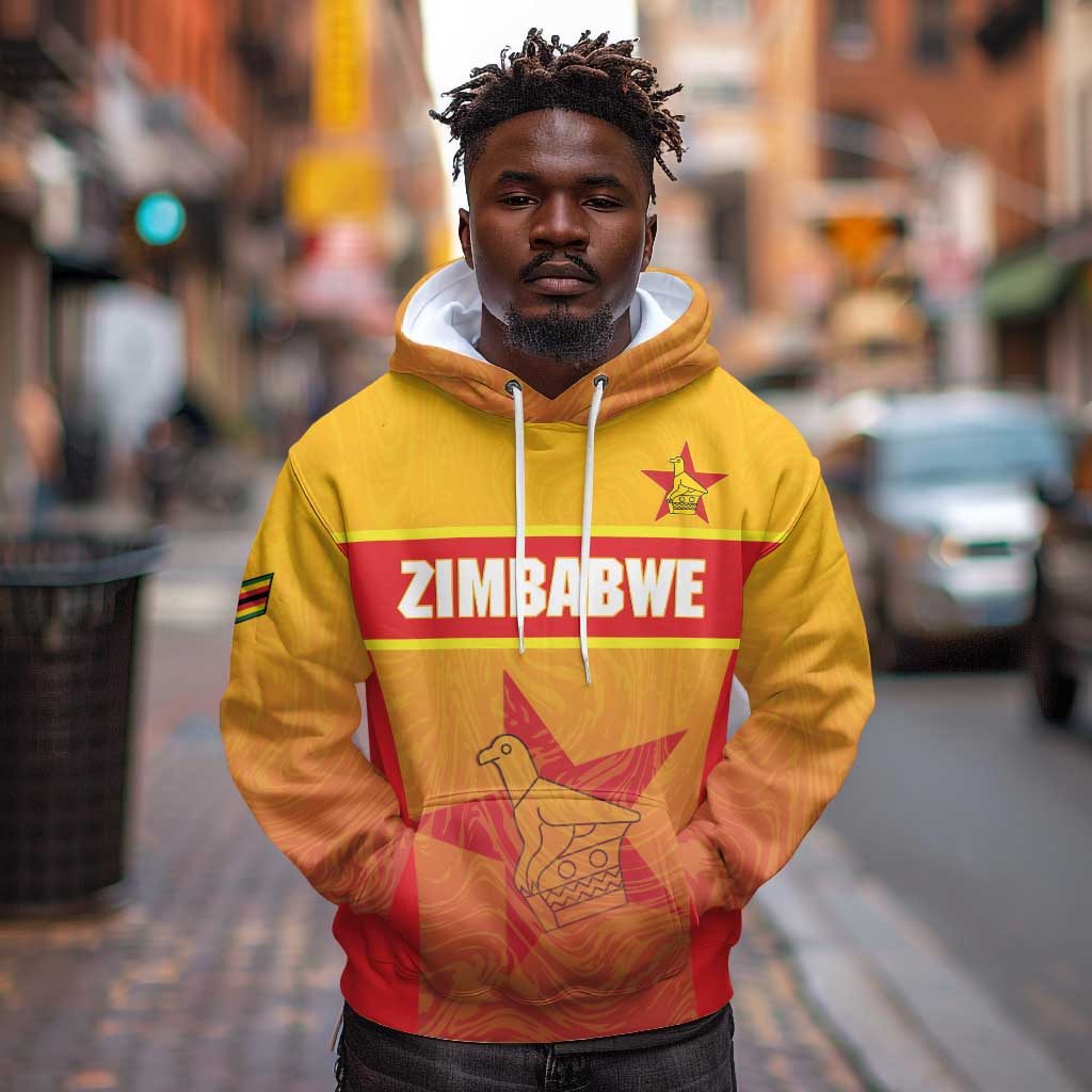 Zimbabwe Cricket Custom Hoodie Come On Chevrons