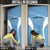 Personalized Botswana Athletics Door Cover Go Champions Go - Wonder Print Shop