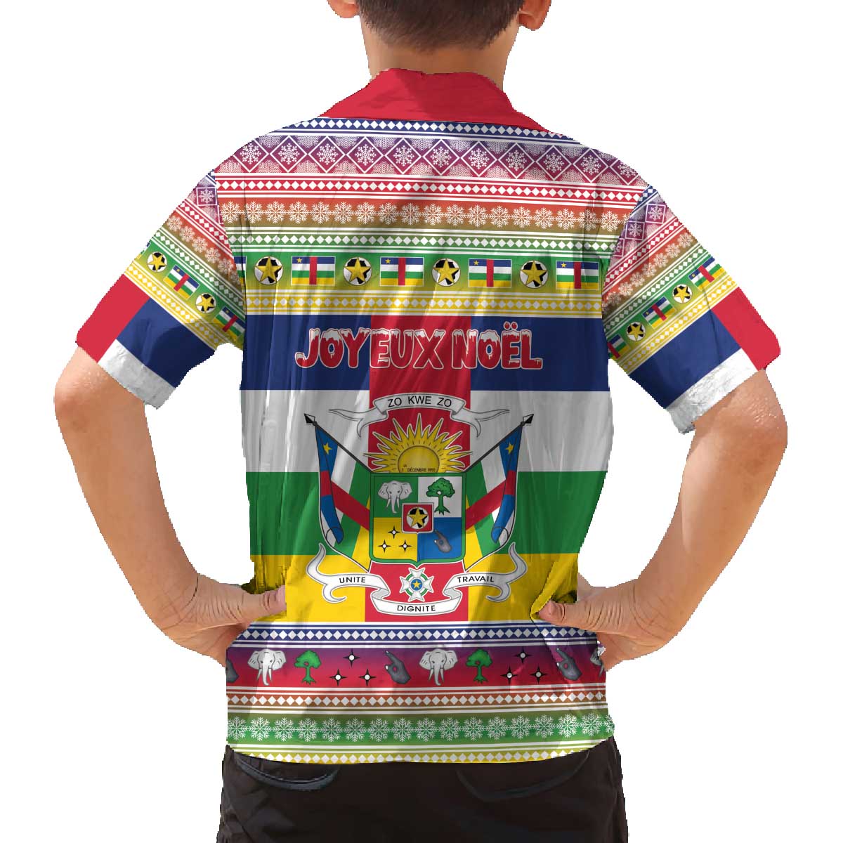 Central African Republic Christmas Family Matching Off The Shoulder Long Sleeve Dress and Hawaiian Shirt Joyeux Noel - Wonder Print Shop