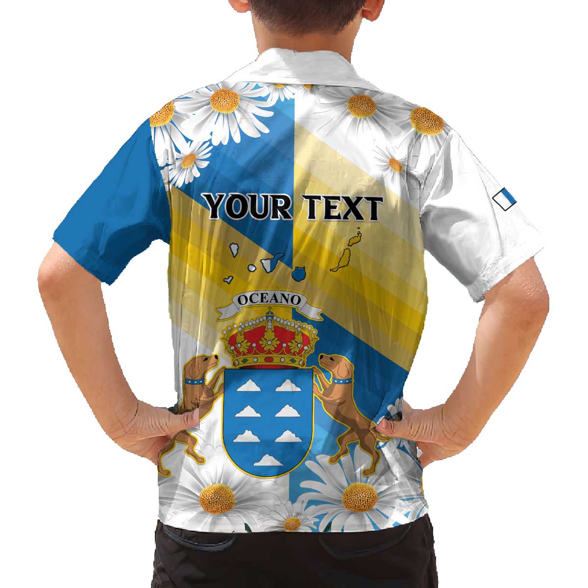 Personalized Islas Canarias Family Matching Off The Shoulder Long Sleeve Dress and Hawaiian Shirt Coat Of Arms With Argyranthemum Frutescens