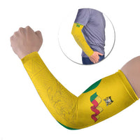 Custom Benin Football Arm Sleeves Go Champions Les Guepards - Wonder Print Shop