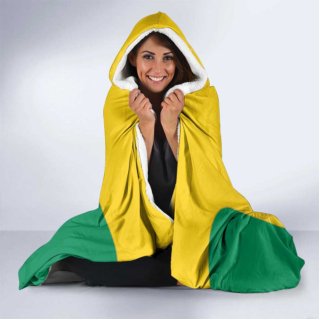 Benin Football Hooded Blanket Go Champions Les Guepards - Wonder Print Shop