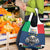 Italian Republic Football Grocery Bag Gli Azzurri History Champion