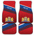 Personalized Netherlands Lion Car Mats Nederland Flag and Coat of Arms