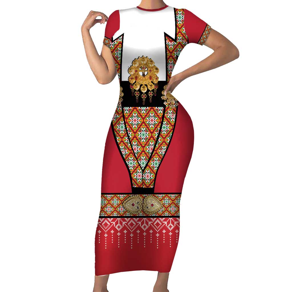 Norway Constitution Day Short Sleeve Bodycon Dress Norwegian bunads