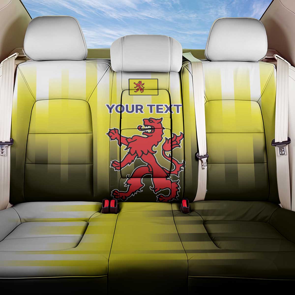 Netherlands Provincie Zuid-Holland Personalized Back Car Seat Cover Flag Style