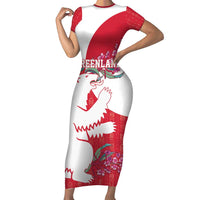 Greenland Flag Style Short Sleeve Bodycon Dress Polar Pear