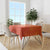 Custom Netherlands Football Tablecloth Oranje Go Champions