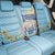 Greece Independence Day Back Car Seat Cover 25th March Vergina Sun