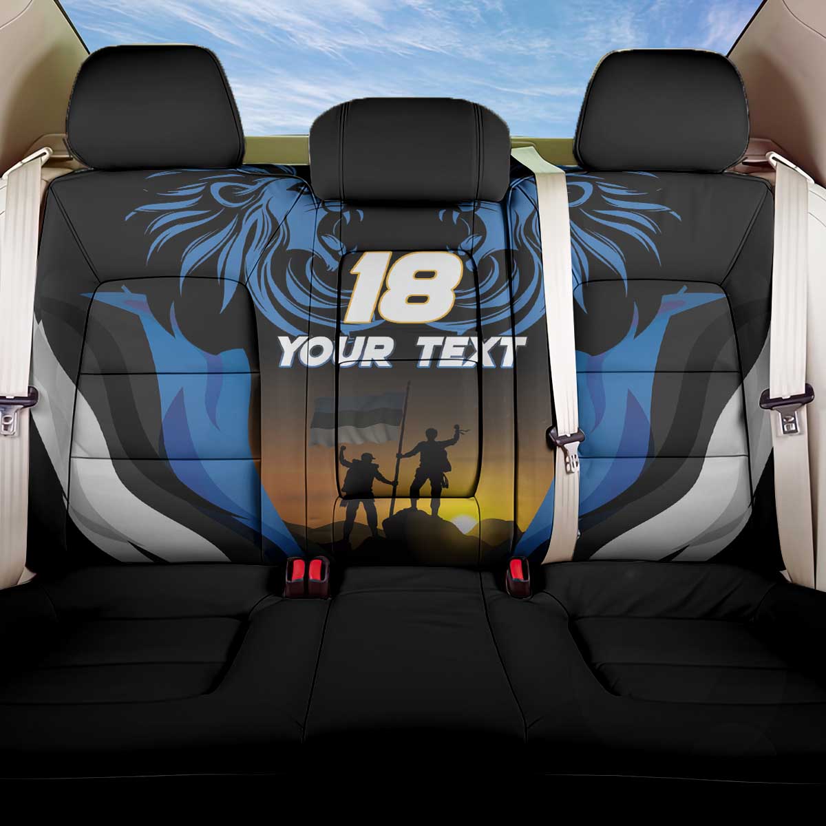 Custom Estonia National Flag Day Back Car Seat Cover Mu isamaa, mu onn ja room