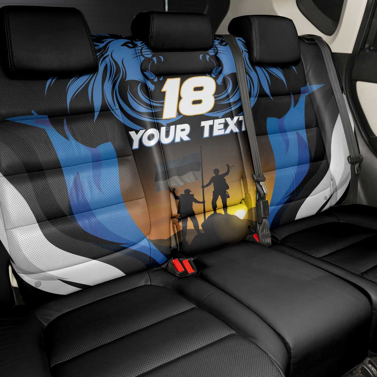Custom Estonia National Flag Day Back Car Seat Cover Mu isamaa, mu onn ja room