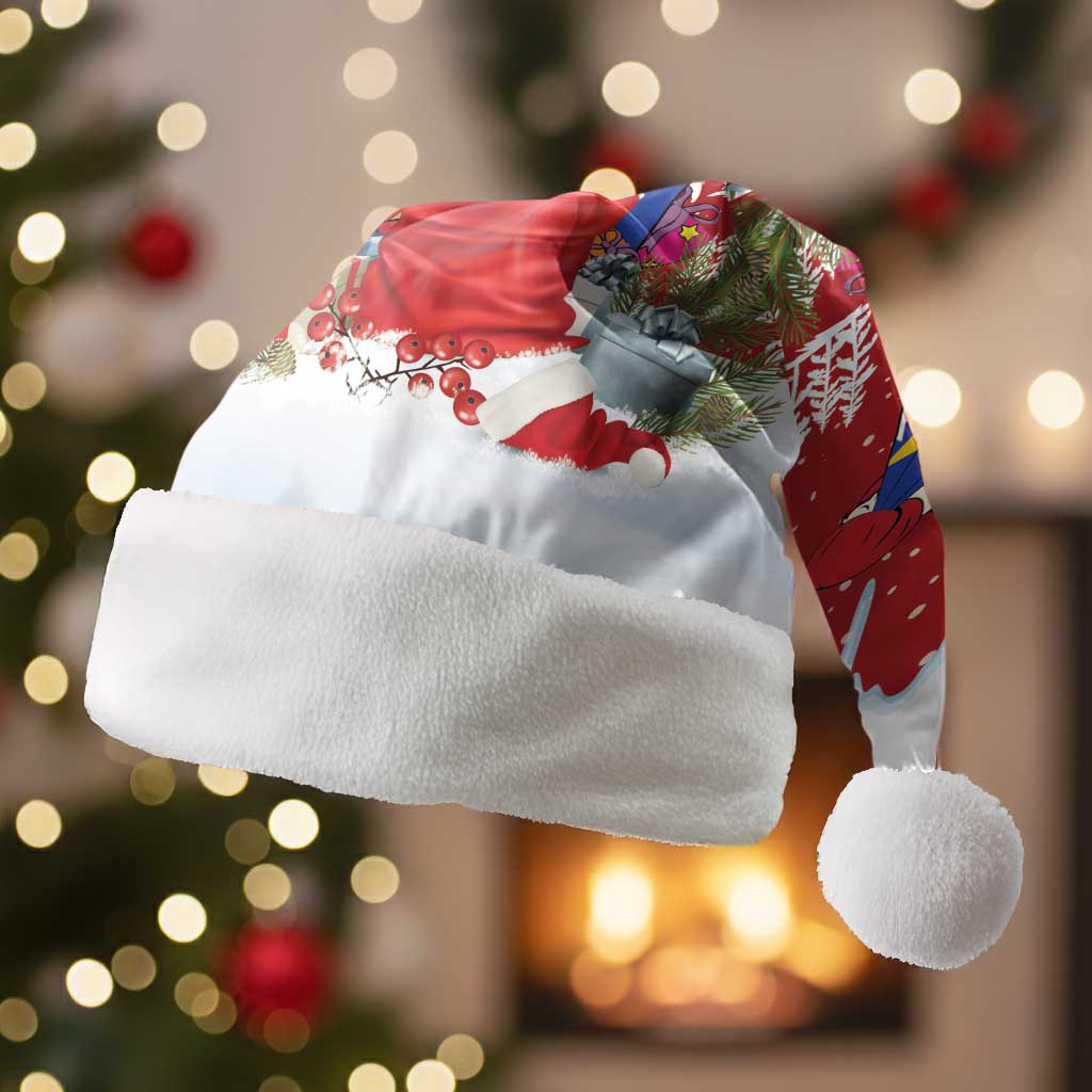 Bosnia and Herzegovina Christmas Santa Hat Santa With National Flag - Wonder Print Shop