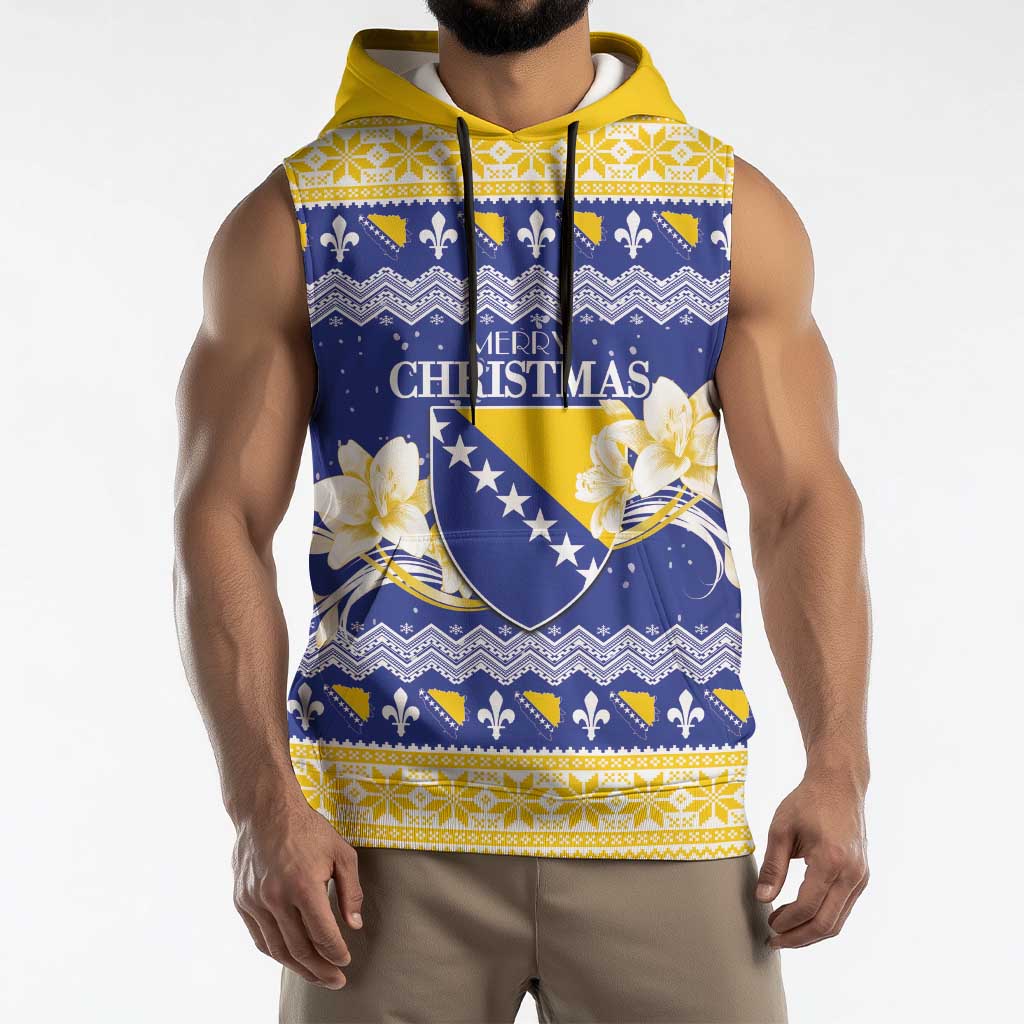 Personalized Bosnia and Herzegovina Christmas Sleeveless Hoodie Coat Of Arms Srecan Bozic - Wonder Print Shop