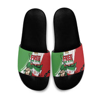 Free Iran Lion and Sun Slide Sandals Persian Freedom Protest