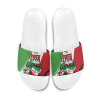 Free Iran Lion and Sun Slide Sandals Persian Freedom Protest