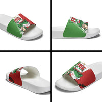 Free Iran Lion and Sun Slide Sandals Persian Freedom Protest