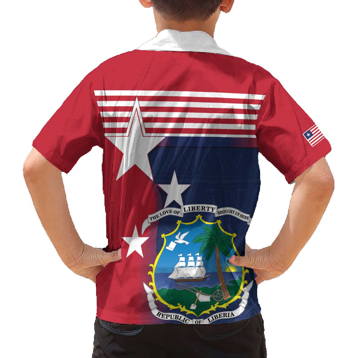 Liberia National Flag Day Family Matching Off The Shoulder Long Sleeve Dress and Hawaiian Shirt All Hail Liberia Hail