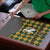 Knights Germany Costumes Puzzle - Wonder Print Shop
