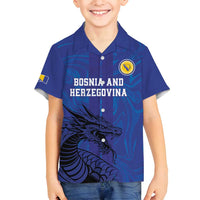Custom Bosnia and Herzegovina Football Family Matching Tank Maxi Dress and Hawaiian Shirt The Dragons Go Champions