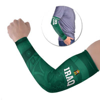 Iraq Football Custom Arm Sleeves Mesopotamian Lion Pattern