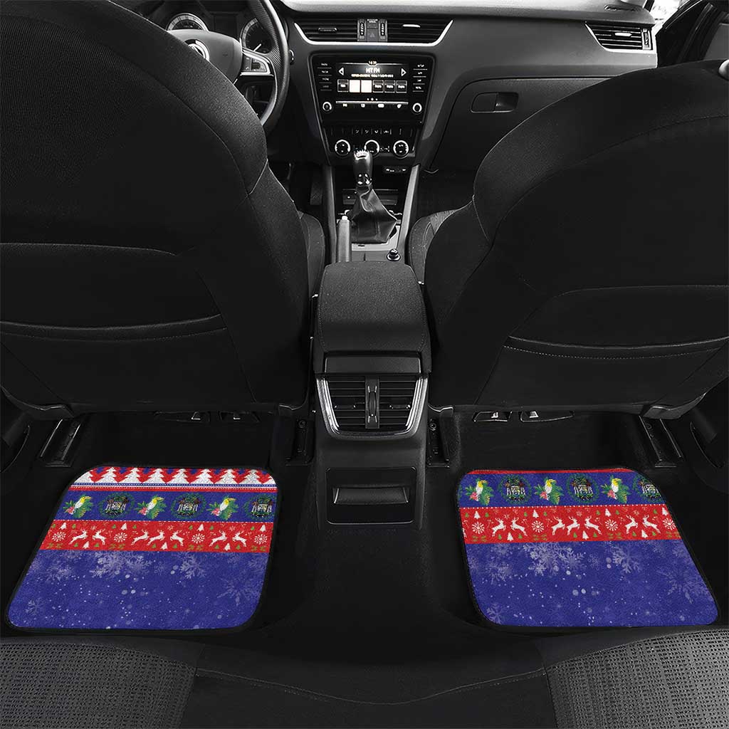 Belize Keel-billed Toucan Bird Christmas Car Mats Feliz Navidad With Knitted Christmas Pattern - Wonder Print Shop